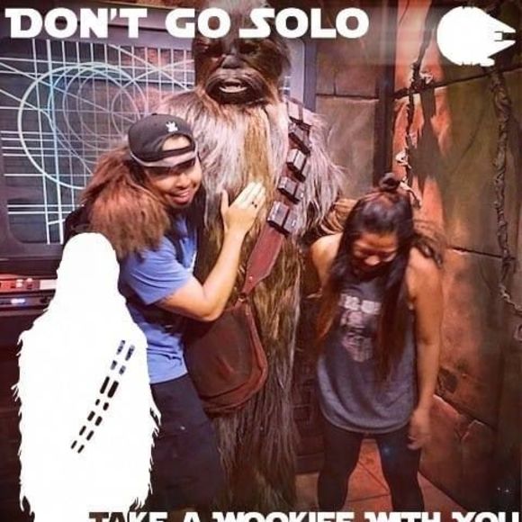 Meet your Posher, Mae - Picture 1 of 1